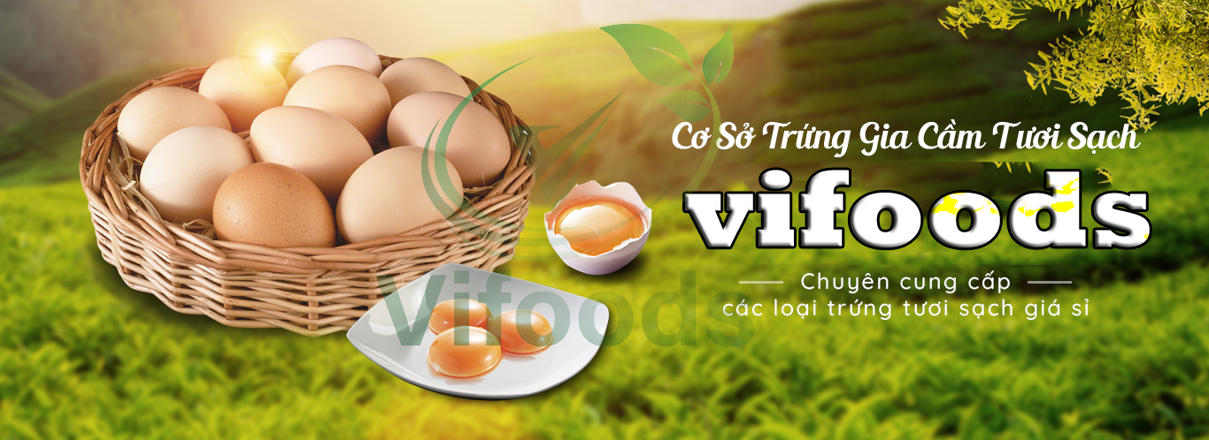 trứng gà giá sỉ
